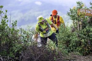 BIB: 
                            <button type="button" onclick="openModal(24765787)" class="btn btn-primary btn-sm float-right btn-popup" data-toggle="modal" data-target=".modal-high-quality">
                        <i class="fas fa-shopping-cart"></i> Add to Cart
                    </button>
                                            <button type="button" onclick="isThisMe(24765787, true)" class="btn btn-success btn-sm float-right btn-popup btn-isme hidden" data-toggle="tooltip" data-placement="bottom" title="นี่คือรูปของคุณใช่ไหม คลิกที่นี่เพื่อเอาเข้าอัลบั้ม">
                        <i class="fas fa-plus"></i> Add to album
                    </button>
                    <button type="button" onclick="isThisMe(24765787, false)" class="btn btn-warning btn-sm float-right btn-popup btn-isnotme hidden">
                        <i class="fas fa-ban"></i> Remove from album
                    </button>